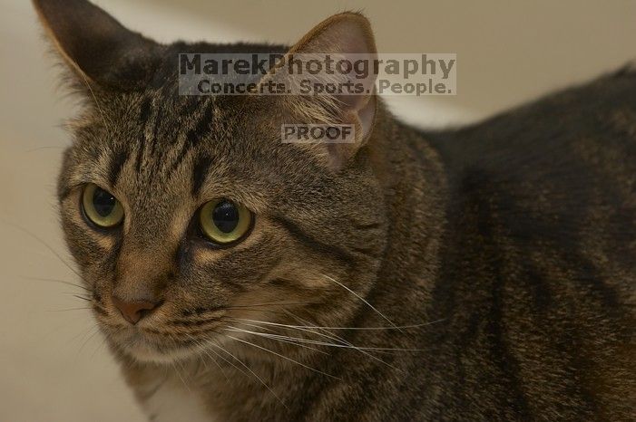 1020409145

Filename: SRM_20051223_201934_9.jpg
Aperture: f/5.0
Shutter Speed: 1/250
Body: Canon EOS 20D
Lens: Canon EF 80-200mm f/2.8 L