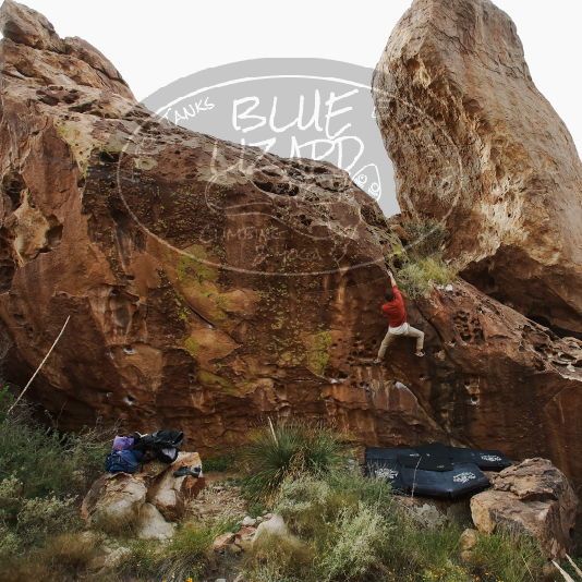 

Filename: SRM_20191028_0934380.jpg
Aperture: f/5.6
Shutter Speed: 1/320
Body: Canon EOS-1D Mark II
Lens: Canon EF 16-35mm f/2.8 L