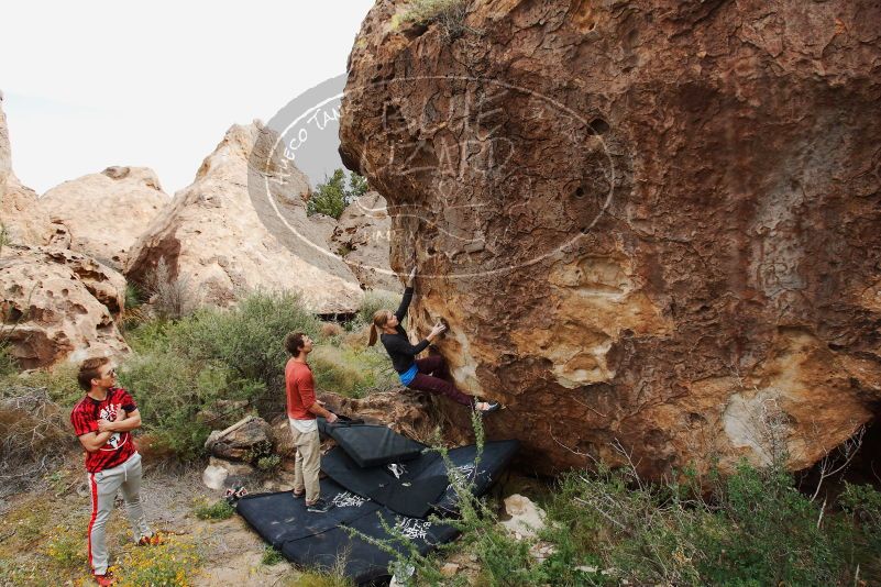 Bouldering in Hueco Tanks on 10/28/2019 with Blue Lizard Climbing and Yoga

Filename: SRM_20191028_0942170.jpg
Aperture: f/5.6
Shutter Speed: 1/160
Body: Canon EOS-1D Mark II
Lens: Canon EF 16-35mm f/2.8 L