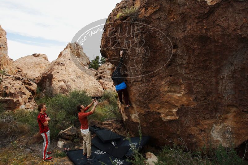Bouldering in Hueco Tanks on 10/28/2019 with Blue Lizard Climbing and Yoga
Filename: SRM_20191028_0942320.jpg
Aperture: f/5.6
Shutter Speed: 1/320
Body: Canon EOS-1D Mark II
Lens: Canon EF 16-35mm f/2.8 L