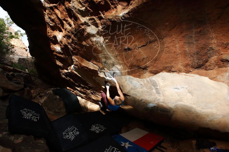 Bouldering in Hueco Tanks on 10/28/2019 with Blue Lizard Climbing and Yoga
Filename: SRM_20191028_1025270.jpg
Aperture: f/5.6
Shutter Speed: 1/250
Body: Canon EOS-1D Mark II
Lens: Canon EF 16-35mm f/2.8 L