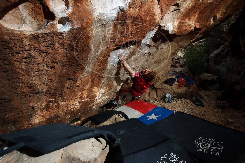Bouldering in Hueco Tanks on 10/28/2019 with Blue Lizard Climbing and Yoga

Filename: SRM_20191028_1040370.jpg
Aperture: f/7.1
Shutter Speed: 1/250
Body: Canon EOS-1D Mark II
Lens: Canon EF 16-35mm f/2.8 L
