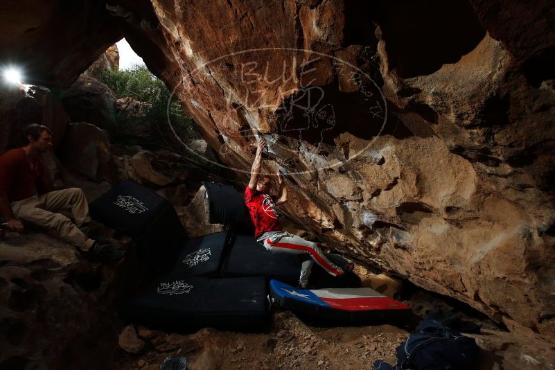 Bouldering in Hueco Tanks on 10/28/2019 with Blue Lizard Climbing and Yoga
Filename: SRM_20191028_1047590.jpg
Aperture: f/7.1
Shutter Speed: 1/250
Body: Canon EOS-1D Mark II
Lens: Canon EF 16-35mm f/2.8 L