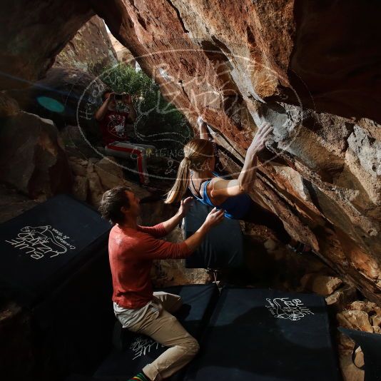 

Filename: SRM_20191028_1050160.jpg
Aperture: f/7.1
Shutter Speed: 1/250
Body: Canon EOS-1D Mark II
Lens: Canon EF 16-35mm f/2.8 L