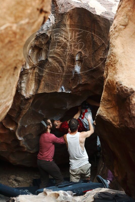 Bouldering in Hueco Tanks on 10/28/2019 with Blue Lizard Climbing and Yoga
Filename: SRM_20191028_1313160.jpg
Aperture: f/3.2
Shutter Speed: 1/250
Body: Canon EOS-1D Mark II
Lens: Canon EF 50mm f/1.8 II