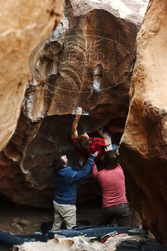 Bouldering in Hueco Tanks on 10/28/2019 with Blue Lizard Climbing and Yoga
Filename: SRM_20191028_1343560.jpg
Aperture: f/3.2
Shutter Speed: 1/250
Body: Canon EOS-1D Mark II
Lens: Canon EF 50mm f/1.8 II