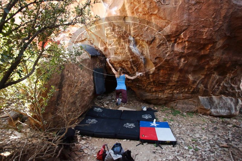 Bouldering in Hueco Tanks on 10/28/2019 with Blue Lizard Climbing and Yoga

Filename: SRM_20191028_1441350.jpg
Aperture: f/4.0
Shutter Speed: 1/250
Body: Canon EOS-1D Mark II
Lens: Canon EF 16-35mm f/2.8 L