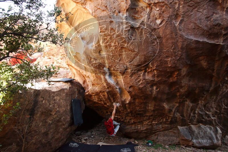 Bouldering in Hueco Tanks on 10/28/2019 with Blue Lizard Climbing and Yoga
Filename: SRM_20191028_1444460.jpg
Aperture: f/4.5
Shutter Speed: 1/250
Body: Canon EOS-1D Mark II
Lens: Canon EF 16-35mm f/2.8 L