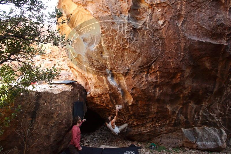 Bouldering in Hueco Tanks on 10/28/2019 with Blue Lizard Climbing and Yoga
Filename: SRM_20191028_1455590.jpg
Aperture: f/4.5
Shutter Speed: 1/250
Body: Canon EOS-1D Mark II
Lens: Canon EF 16-35mm f/2.8 L
