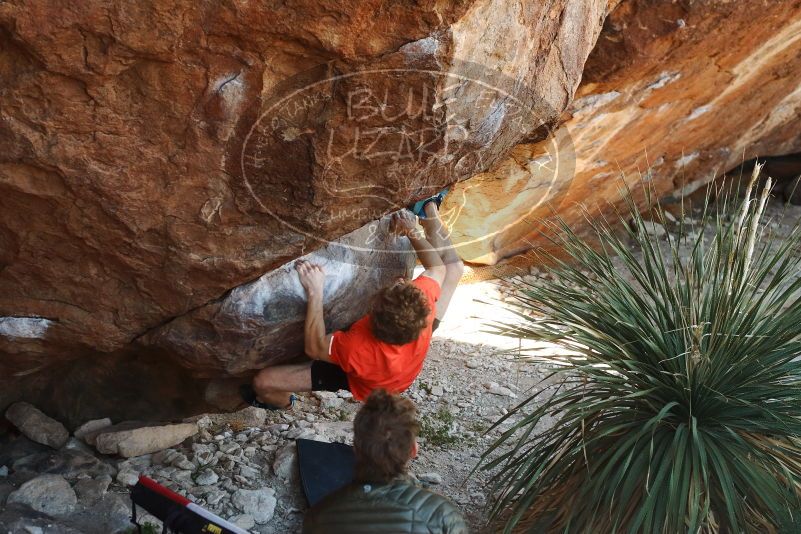 Bouldering in Hueco Tanks on 10/26/2019 with Blue Lizard Climbing and Yoga
Filename: SRM_20191026_1054450.jpg
Aperture: f/4.0
Shutter Speed: 1/400
Body: Canon EOS-1D Mark II
Lens: Canon EF 50mm f/1.8 II