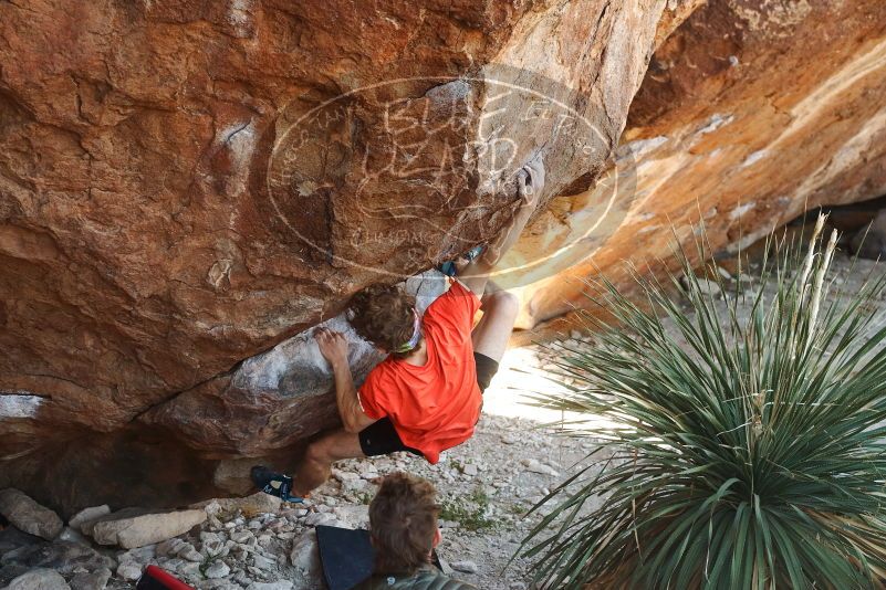 Bouldering in Hueco Tanks on 10/26/2019 with Blue Lizard Climbing and Yoga
Filename: SRM_20191026_1054460.jpg
Aperture: f/4.0
Shutter Speed: 1/320
Body: Canon EOS-1D Mark II
Lens: Canon EF 50mm f/1.8 II