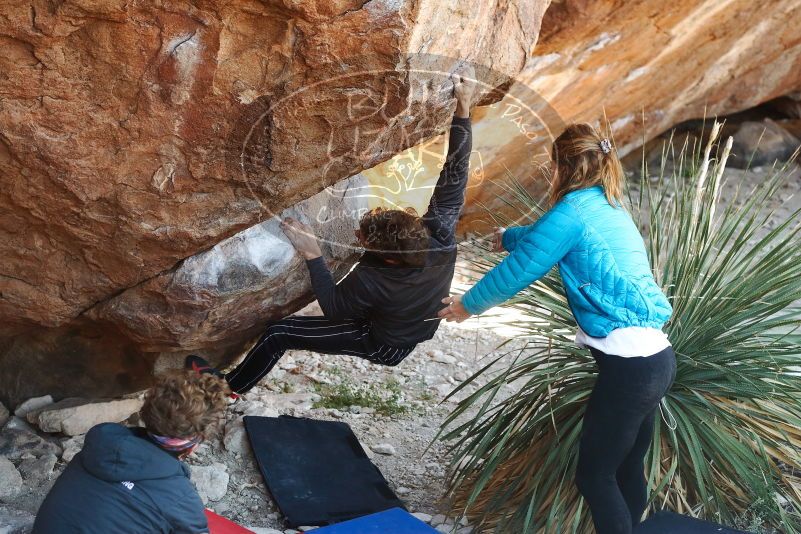 Bouldering in Hueco Tanks on 10/26/2019 with Blue Lizard Climbing and Yoga

Filename: SRM_20191026_1059290.jpg
Aperture: f/4.0
Shutter Speed: 1/250
Body: Canon EOS-1D Mark II
Lens: Canon EF 50mm f/1.8 II