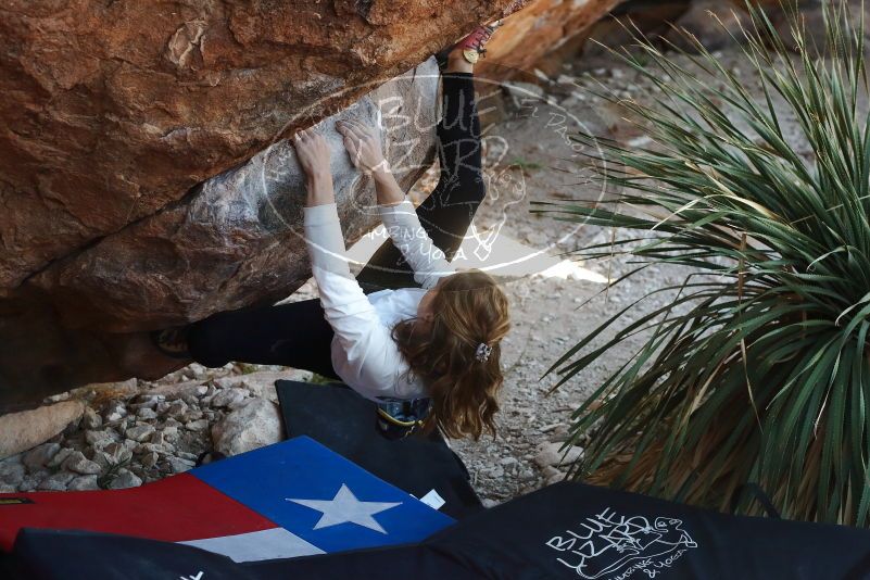 Bouldering in Hueco Tanks on 10/26/2019 with Blue Lizard Climbing and Yoga

Filename: SRM_20191026_1102460.jpg
Aperture: f/4.0
Shutter Speed: 1/400
Body: Canon EOS-1D Mark II
Lens: Canon EF 50mm f/1.8 II