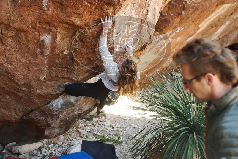Bouldering in Hueco Tanks on 10/26/2019 with Blue Lizard Climbing and Yoga

Filename: SRM_20191026_1103020.jpg
Aperture: f/4.0
Shutter Speed: 1/400
Body: Canon EOS-1D Mark II
Lens: Canon EF 50mm f/1.8 II