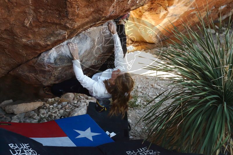 Bouldering in Hueco Tanks on 10/26/2019 with Blue Lizard Climbing and Yoga
Filename: SRM_20191026_1107380.jpg
Aperture: f/4.0
Shutter Speed: 1/400
Body: Canon EOS-1D Mark II
Lens: Canon EF 50mm f/1.8 II