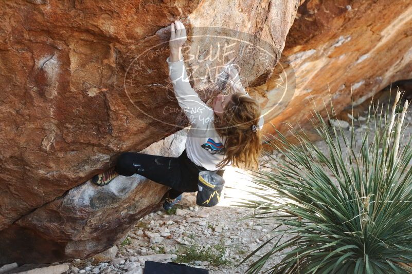 Bouldering in Hueco Tanks on 10/26/2019 with Blue Lizard Climbing and Yoga

Filename: SRM_20191026_1107431.jpg
Aperture: f/4.0
Shutter Speed: 1/320
Body: Canon EOS-1D Mark II
Lens: Canon EF 50mm f/1.8 II