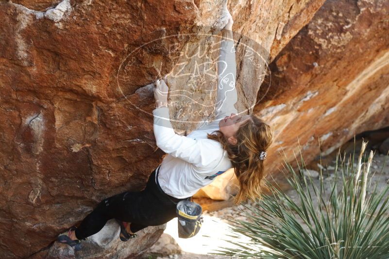 Bouldering in Hueco Tanks on 10/26/2019 with Blue Lizard Climbing and Yoga
Filename: SRM_20191026_1107450.jpg
Aperture: f/4.0
Shutter Speed: 1/320
Body: Canon EOS-1D Mark II
Lens: Canon EF 50mm f/1.8 II