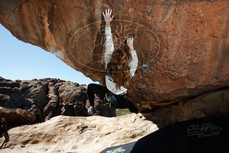 Bouldering in Hueco Tanks on 10/26/2019 with Blue Lizard Climbing and Yoga
Filename: SRM_20191026_1308280.jpg
Aperture: f/8.0
Shutter Speed: 1/250
Body: Canon EOS-1D Mark II
Lens: Canon EF 16-35mm f/2.8 L