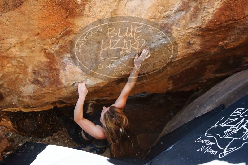 Bouldering in Hueco Tanks on 10/26/2019 with Blue Lizard Climbing and Yoga

Filename: SRM_20191026_1454580.jpg
Aperture: f/5.6
Shutter Speed: 1/200
Body: Canon EOS-1D Mark II
Lens: Canon EF 16-35mm f/2.8 L
