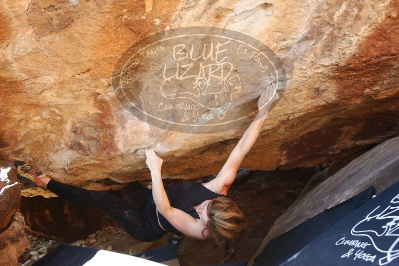 Bouldering in Hueco Tanks on 10/26/2019 with Blue Lizard Climbing and Yoga
Filename: SRM_20191026_1456261.jpg
Aperture: f/5.0
Shutter Speed: 1/200
Body: Canon EOS-1D Mark II
Lens: Canon EF 16-35mm f/2.8 L