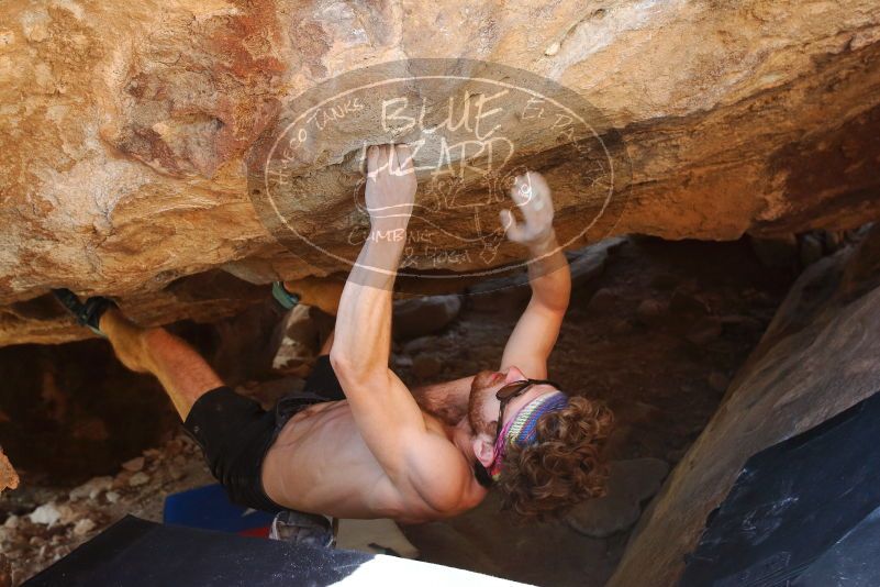 Bouldering in Hueco Tanks on 10/26/2019 with Blue Lizard Climbing and Yoga
Filename: SRM_20191026_1504480.jpg
Aperture: f/5.0
Shutter Speed: 1/200
Body: Canon EOS-1D Mark II
Lens: Canon EF 16-35mm f/2.8 L