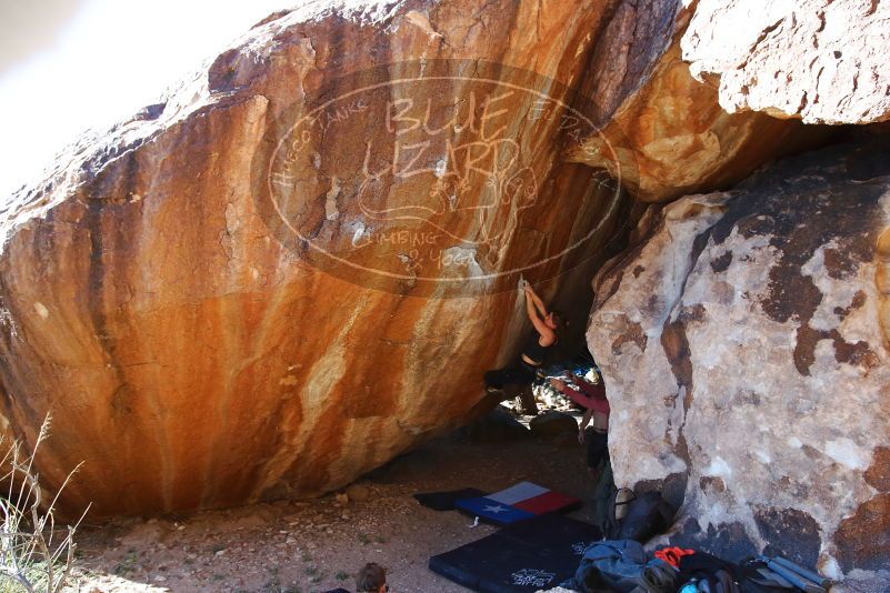 Bouldering in Hueco Tanks on 10/26/2019 with Blue Lizard Climbing and Yoga

Filename: SRM_20191026_1633550.jpg
Aperture: f/5.6
Shutter Speed: 1/250
Body: Canon EOS-1D Mark II
Lens: Canon EF 16-35mm f/2.8 L