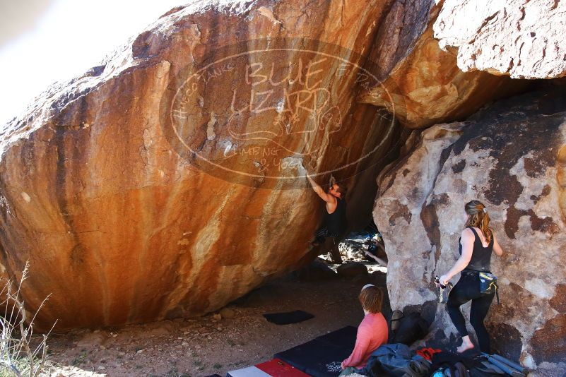 Bouldering in Hueco Tanks on 10/26/2019 with Blue Lizard Climbing and Yoga
Filename: SRM_20191026_1635380.jpg
Aperture: f/5.6
Shutter Speed: 1/250
Body: Canon EOS-1D Mark II
Lens: Canon EF 16-35mm f/2.8 L