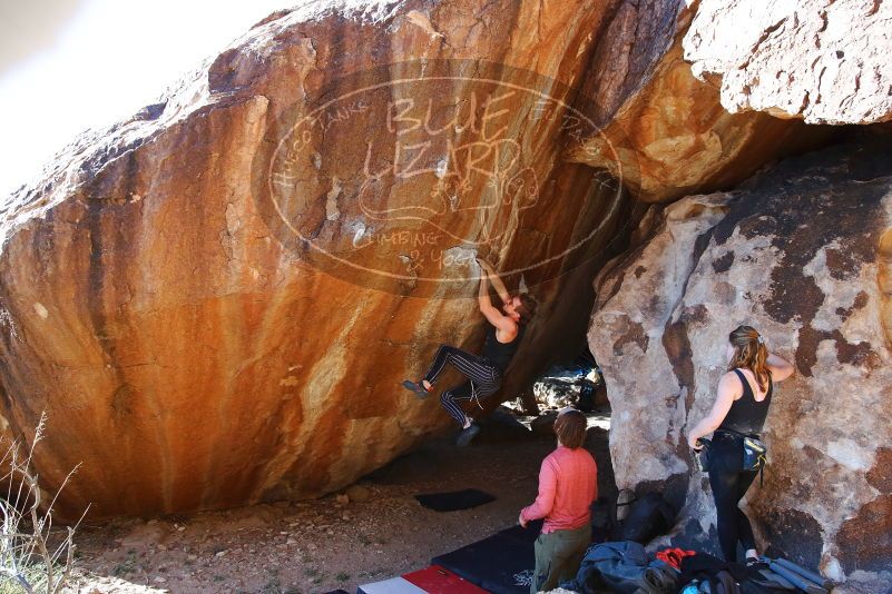 Bouldering in Hueco Tanks on 10/26/2019 with Blue Lizard Climbing and Yoga

Filename: SRM_20191026_1635401.jpg
Aperture: f/5.6
Shutter Speed: 1/250
Body: Canon EOS-1D Mark II
Lens: Canon EF 16-35mm f/2.8 L