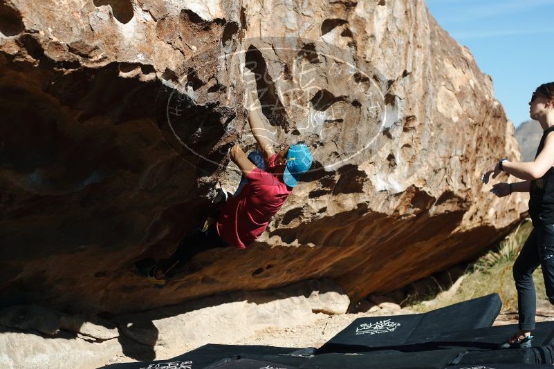 Bouldering in Hueco Tanks on 11/09/2019 with Blue Lizard Climbing and Yoga
Filename: SRM_20191109_1103590.jpg
Aperture: f/4.0
Shutter Speed: 1/1250
Body: Canon EOS-1D Mark II
Lens: Canon EF 50mm f/1.8 II