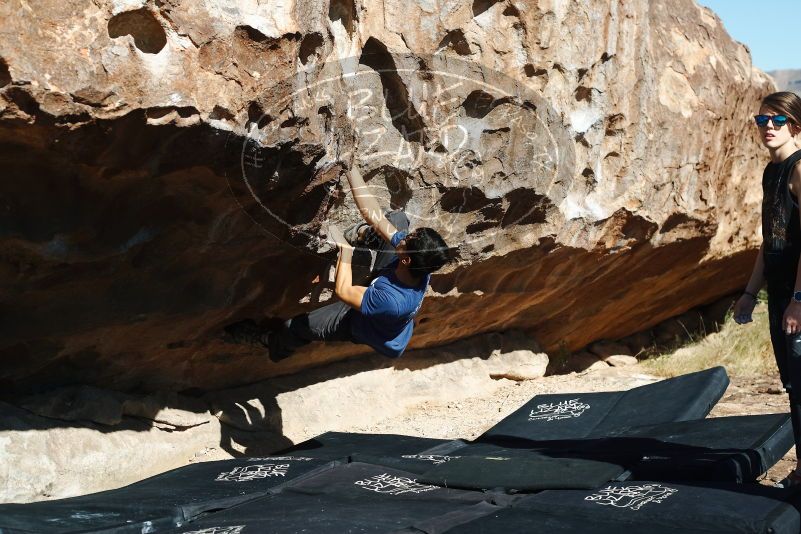 Bouldering in Hueco Tanks on 11/09/2019 with Blue Lizard Climbing and Yoga

Filename: SRM_20191109_1106250.jpg
Aperture: f/4.5
Shutter Speed: 1/800
Body: Canon EOS-1D Mark II
Lens: Canon EF 50mm f/1.8 II