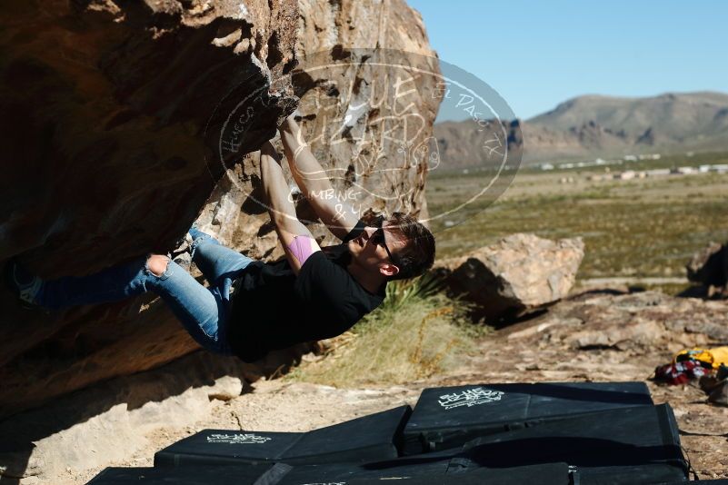 Bouldering in Hueco Tanks on 11/09/2019 with Blue Lizard Climbing and Yoga

Filename: SRM_20191109_1124340.jpg
Aperture: f/4.0
Shutter Speed: 1/1600
Body: Canon EOS-1D Mark II
Lens: Canon EF 50mm f/1.8 II