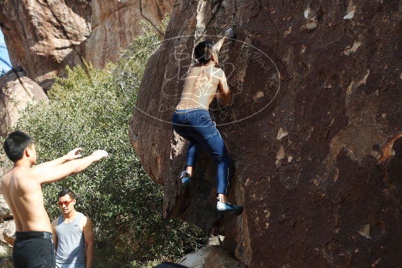Bouldering in Hueco Tanks on 11/09/2019 with Blue Lizard Climbing and Yoga

Filename: SRM_20191109_1305130.jpg
Aperture: f/4.0
Shutter Speed: 1/1250
Body: Canon EOS-1D Mark II
Lens: Canon EF 50mm f/1.8 II