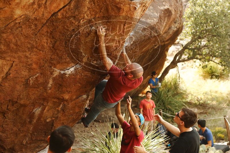 Bouldering in Hueco Tanks on 11/09/2019 with Blue Lizard Climbing and Yoga

Filename: SRM_20191109_1436000.jpg
Aperture: f/4.0
Shutter Speed: 1/320
Body: Canon EOS-1D Mark II
Lens: Canon EF 50mm f/1.8 II