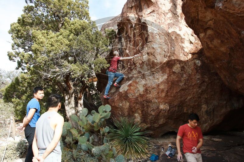 Bouldering in Hueco Tanks on 11/09/2019 with Blue Lizard Climbing and Yoga

Filename: SRM_20191109_1525580.jpg
Aperture: f/5.6
Shutter Speed: 1/320
Body: Canon EOS-1D Mark II
Lens: Canon EF 16-35mm f/2.8 L