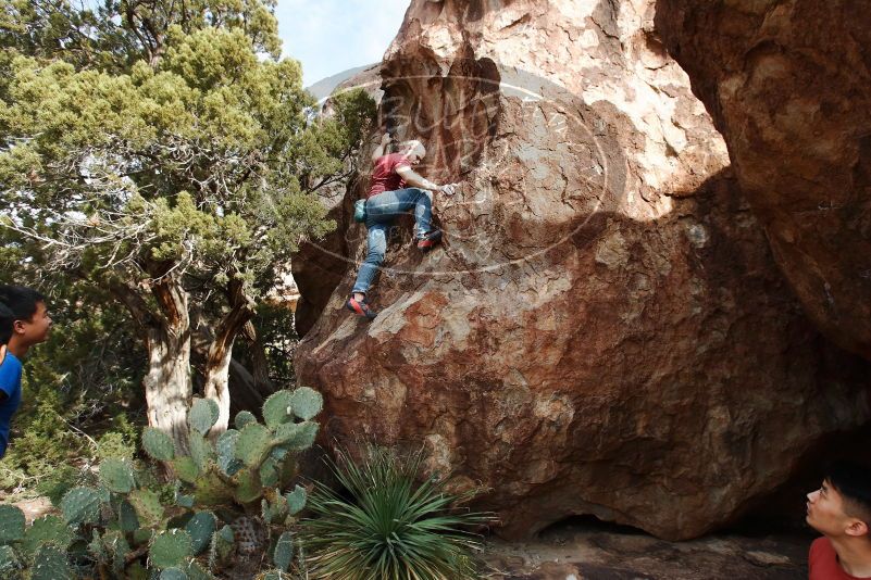 Bouldering in Hueco Tanks on 11/09/2019 with Blue Lizard Climbing and Yoga

Filename: SRM_20191109_1526040.jpg
Aperture: f/5.6
Shutter Speed: 1/250
Body: Canon EOS-1D Mark II
Lens: Canon EF 16-35mm f/2.8 L