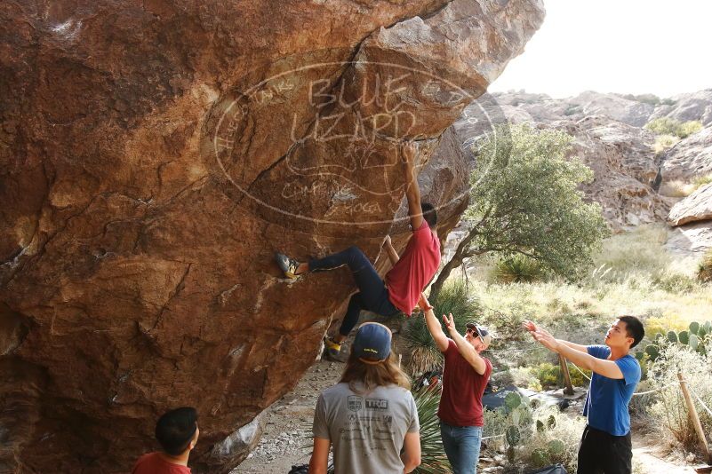 Bouldering in Hueco Tanks on 11/09/2019 with Blue Lizard Climbing and Yoga
Filename: SRM_20191109_1559110.jpg
Aperture: f/5.6
Shutter Speed: 1/400
Body: Canon EOS-1D Mark II
Lens: Canon EF 16-35mm f/2.8 L