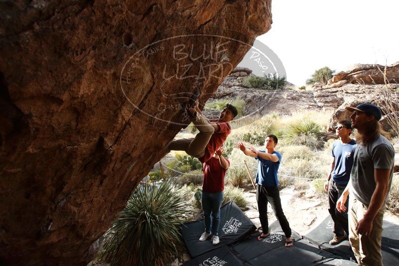 Bouldering in Hueco Tanks on 11/09/2019 with Blue Lizard Climbing and Yoga

Filename: SRM_20191109_1602100.jpg
Aperture: f/5.6
Shutter Speed: 1/500
Body: Canon EOS-1D Mark II
Lens: Canon EF 16-35mm f/2.8 L