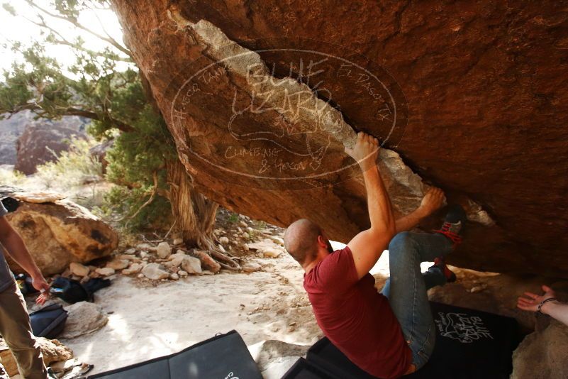 Bouldering in Hueco Tanks on 11/09/2019 with Blue Lizard Climbing and Yoga

Filename: SRM_20191109_1653520.jpg
Aperture: f/4.5
Shutter Speed: 1/500
Body: Canon EOS-1D Mark II
Lens: Canon EF 16-35mm f/2.8 L