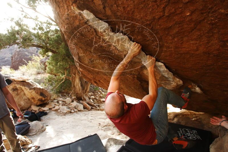 Bouldering in Hueco Tanks on 11/09/2019 with Blue Lizard Climbing and Yoga

Filename: SRM_20191109_1653530.jpg
Aperture: f/5.6
Shutter Speed: 1/320
Body: Canon EOS-1D Mark II
Lens: Canon EF 16-35mm f/2.8 L