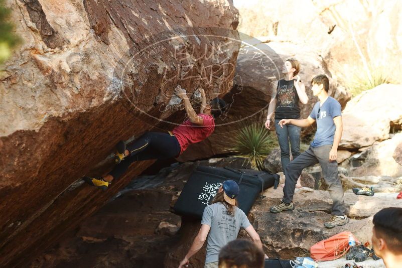 Bouldering in Hueco Tanks on 11/09/2019 with Blue Lizard Climbing and Yoga
Filename: SRM_20191109_1742270.jpg
Aperture: f/4.0
Shutter Speed: 1/400
Body: Canon EOS-1D Mark II
Lens: Canon EF 50mm f/1.8 II