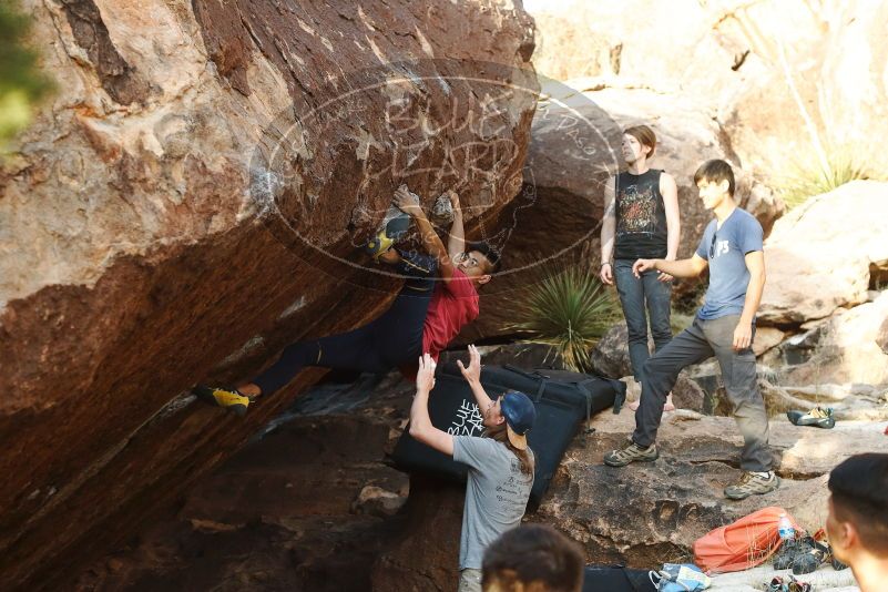 Bouldering in Hueco Tanks on 11/09/2019 with Blue Lizard Climbing and Yoga

Filename: SRM_20191109_1742290.jpg
Aperture: f/4.0
Shutter Speed: 1/500
Body: Canon EOS-1D Mark II
Lens: Canon EF 50mm f/1.8 II