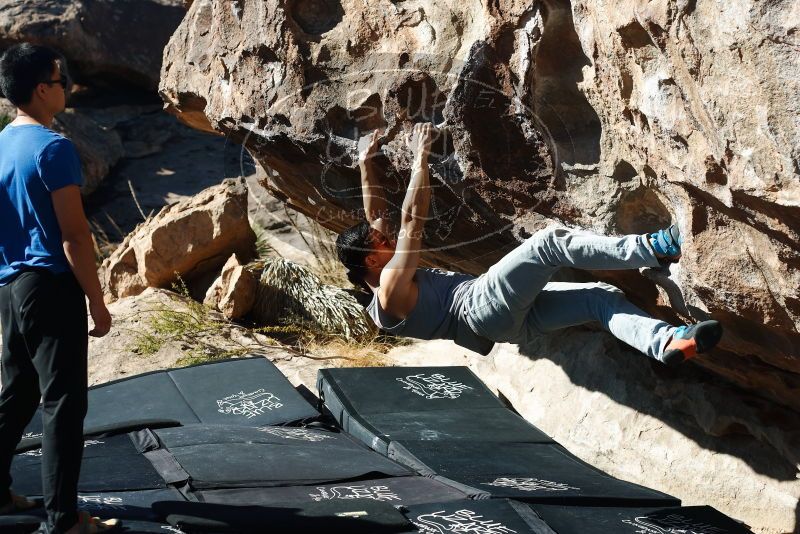 

Filename: SRM_20191109_1111330.jpg
Aperture: f/4.0
Shutter Speed: 1/1000
Body: Canon EOS-1D Mark II
Lens: Canon EF 50mm f/1.8 II