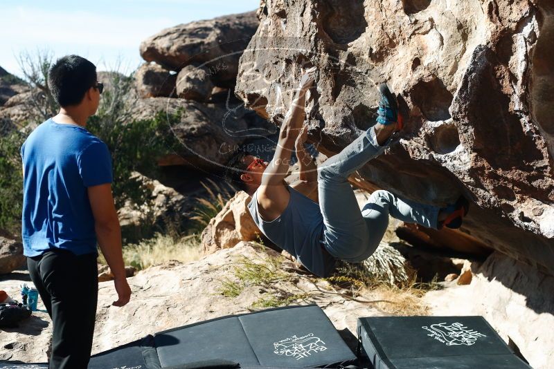 

Filename: SRM_20191109_1112010.jpg
Aperture: f/4.0
Shutter Speed: 1/800
Body: Canon EOS-1D Mark II
Lens: Canon EF 50mm f/1.8 II