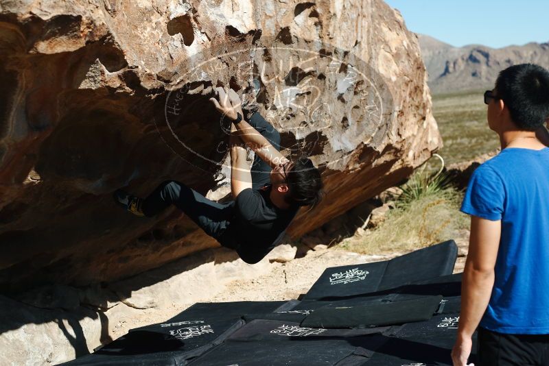 

Filename: SRM_20191109_1114250.jpg
Aperture: f/4.0
Shutter Speed: 1/1250
Body: Canon EOS-1D Mark II
Lens: Canon EF 50mm f/1.8 II