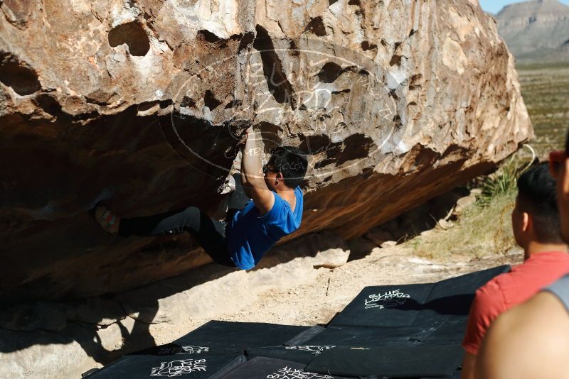 

Filename: SRM_20191109_1115530.jpg
Aperture: f/4.0
Shutter Speed: 1/1250
Body: Canon EOS-1D Mark II
Lens: Canon EF 50mm f/1.8 II