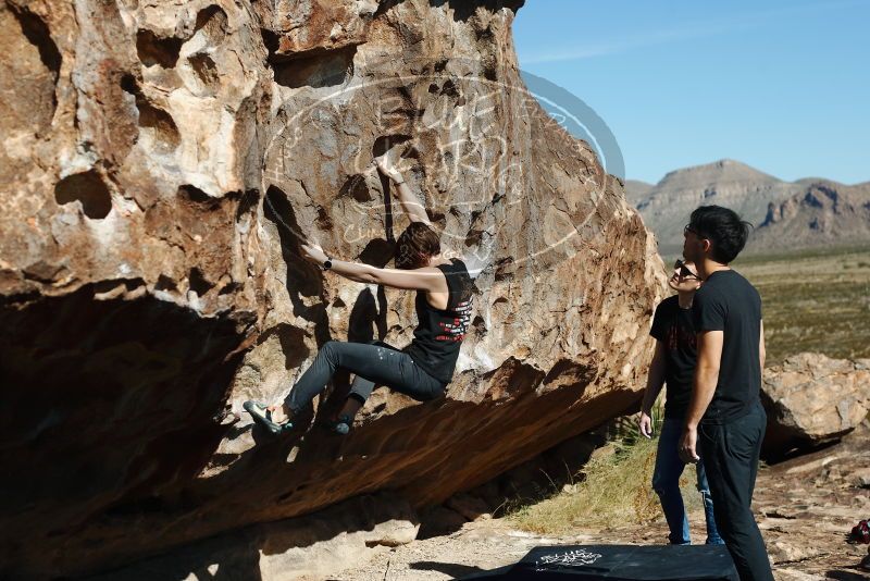 

Filename: SRM_20191109_1121180.jpg
Aperture: f/4.0
Shutter Speed: 1/2000
Body: Canon EOS-1D Mark II
Lens: Canon EF 50mm f/1.8 II