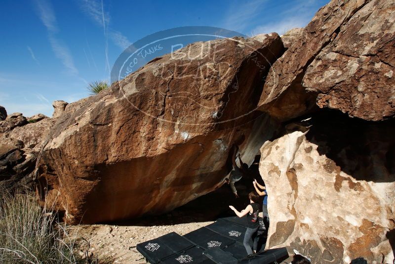 

Filename: SRM_20191109_1150260.jpg
Aperture: f/9.0
Shutter Speed: 1/250
Body: Canon EOS-1D Mark II
Lens: Canon EF 16-35mm f/2.8 L