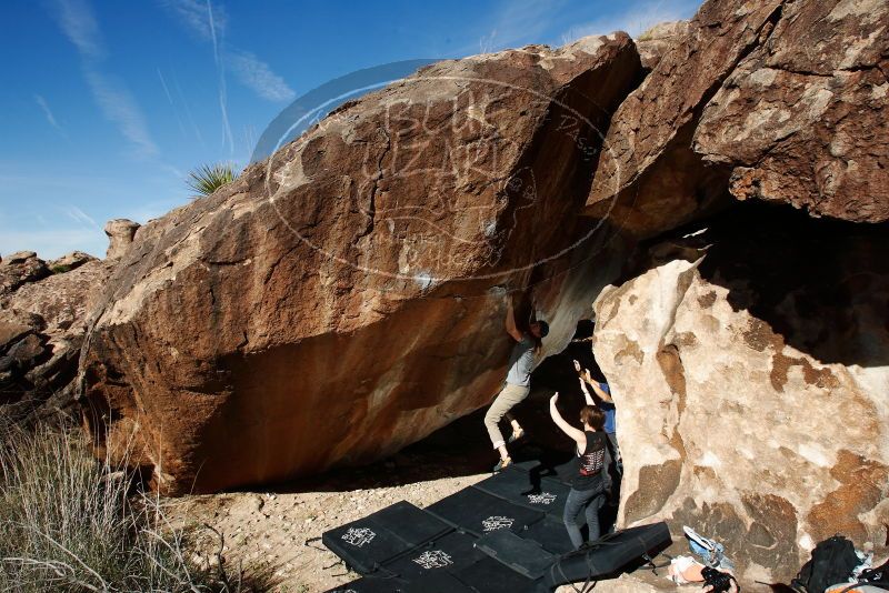

Filename: SRM_20191109_1150430.jpg
Aperture: f/9.0
Shutter Speed: 1/250
Body: Canon EOS-1D Mark II
Lens: Canon EF 16-35mm f/2.8 L