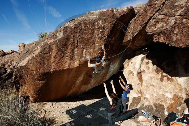 

Filename: SRM_20191109_1151190.jpg
Aperture: f/9.0
Shutter Speed: 1/250
Body: Canon EOS-1D Mark II
Lens: Canon EF 16-35mm f/2.8 L