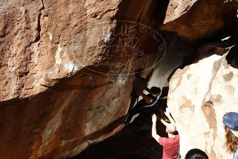 

Filename: SRM_20191109_1157370.jpg
Aperture: f/9.0
Shutter Speed: 1/250
Body: Canon EOS-1D Mark II
Lens: Canon EF 16-35mm f/2.8 L